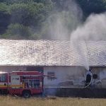 Hasici chladili strechu hangara s tisickami kurciat vodou Stovky z nich uhinuli
