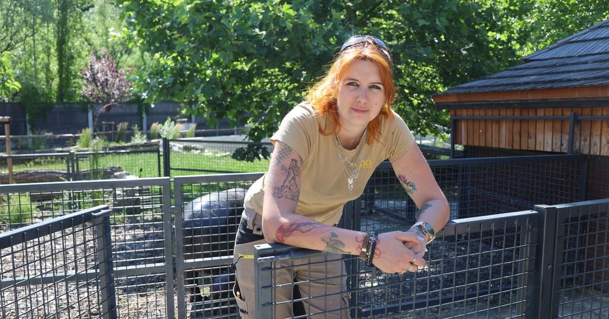 Simona pracuje v bratislavskej zoo Nemame hrochys ale hrosiky Ked sa rozbehnuli lahko dobehu ludi