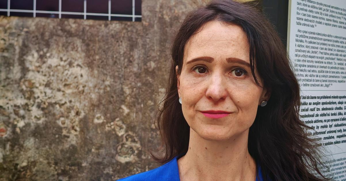 Sona Gyarfasova Aj po vyhoden z STVR sa drm hesla politickch vzov vetko je len obdobie prejde to