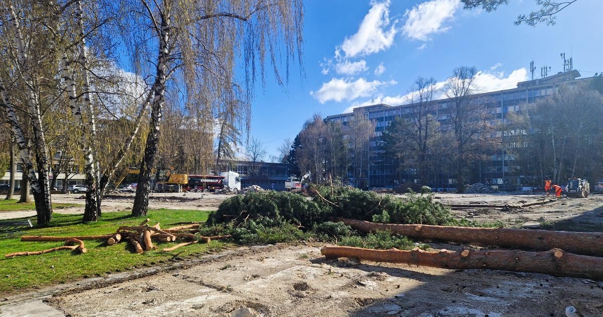 Stromy na Vajanskeho namest vyvolali vasne Primator Martina celi kritike za svoje vyjadrenia