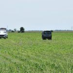 dvaja zufali zlodeji ukradli auto a rozoberali ho priamo na poli v cele uz cakaju na rozhodnutie sudu