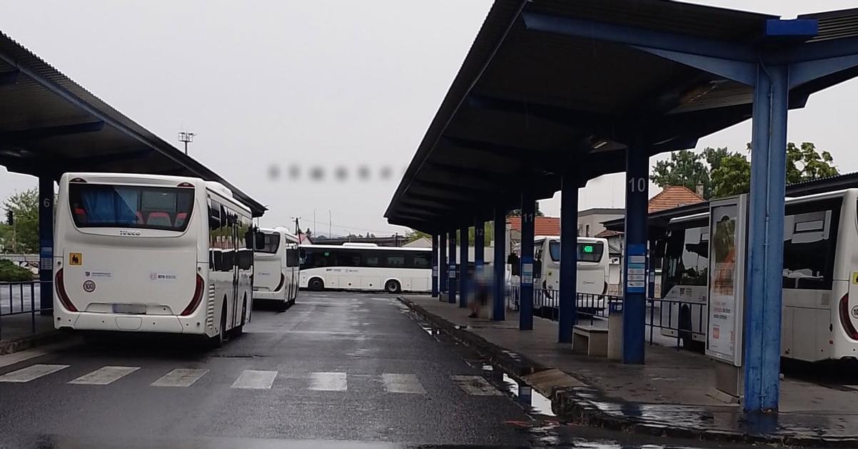 Chladnokrvny utok na stanici Mestska policajt musel zasiahnu nasilim