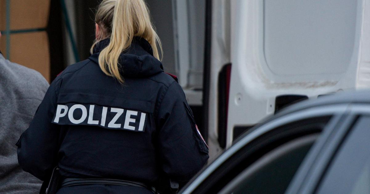 Muz v Rakusku zabil sekerou partnera svojej byvalej priatelky