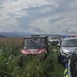Nasiel sa chlapec strateny v kukuricnom poli Je nazive bol v lese