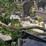 Po nicivej burke hrozi pad konarov aj stromov V meste zatvorili Zamocky park a mestsky cintorin