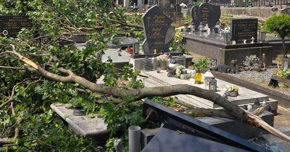 Po nicivej burke hrozi pad konarov aj stromov V meste zatvorili Zamocky park a mestsky cintorin