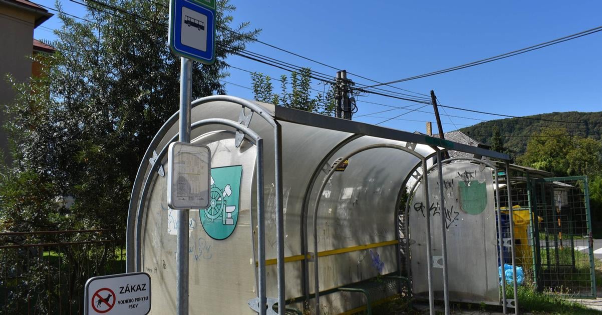 Autobusy prevazali vzduch Hromadnu dopravu na leto zrusili vyvolalo to hnev Cestovne bude drahsi