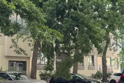 Na bratislavské auto spadol strom. Kto zaplatí škodu, keď vodič nemôže?
