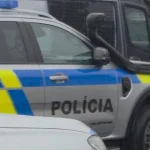 Trestná činnosť cudzincov na našom území