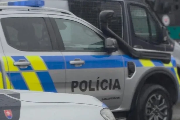 Trestná činnosť cudzincov na našom území