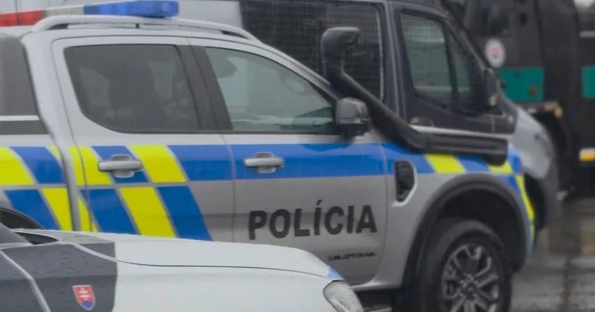 Trestná činnosť cudzincov na našom území